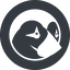 Normal, solid, circle, shopping, order, website, store, cms, ecommerce, prestashop, shipping, product icon