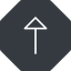 Thin, up, solid, octagon, arrow, arrow-thin icon
