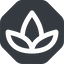 Wide, solid, octagon, spa, zen, lotus, flower, lotus-wide icon