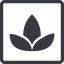 Line, normal, square, spa, zen, lotus, flower, lotus-solid icon